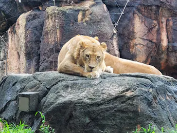 天王寺動物園に投稿された画像（2021/8/15）