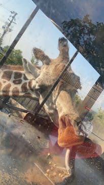 旭川市旭山動物園に投稿された画像（2021/8/15）