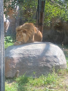 旭川市旭山動物園に投稿された画像（2021/8/15）