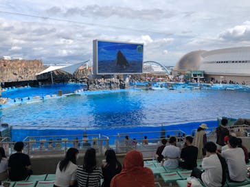 名古屋港水族館に投稿された画像（2021/8/15）