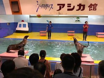 ゼロ距離水族館 伊勢シーパラダイスに投稿された画像（2021/8/15）