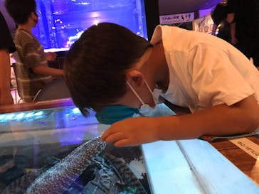 ゼロ距離水族館 伊勢シーパラダイスに投稿された画像（2021/8/15）