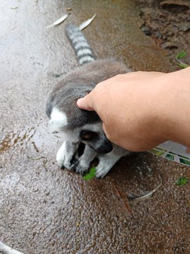 神戸どうぶつ王国に投稿された画像（2021/8/15）