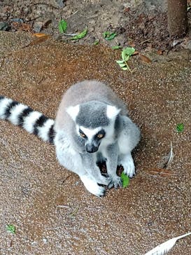 神戸どうぶつ王国に投稿された画像（2021/8/15）