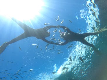 武藤潜水に投稿された画像（2021/8/15）