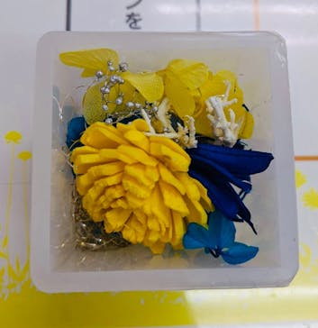 ずこうしつ〜sugamo〜に投稿された画像（2021/8/15）