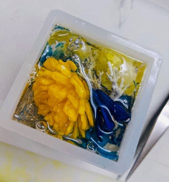 ずこうしつ〜sugamo〜に投稿された画像（2021/8/15）