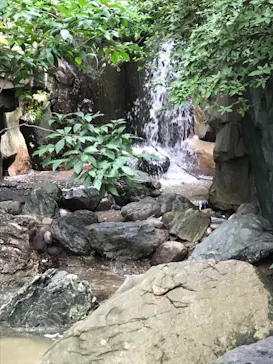 天王寺動物園に投稿された画像（2021/8/15）