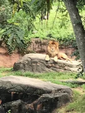 天王寺動物園に投稿された画像（2021/8/15）