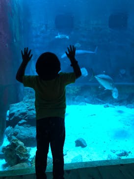 南知多ビーチランド＆南知多おもちゃ王国に投稿された画像（2021/8/15）