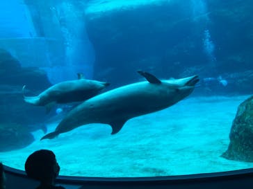 名古屋港水族館に投稿された画像（2021/8/15）