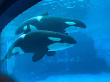 名古屋港水族館に投稿された画像（2021/8/15）