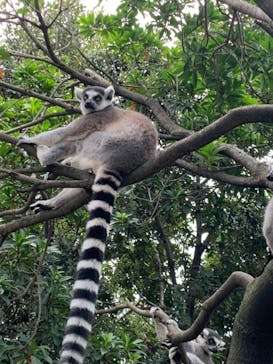 神戸どうぶつ王国に投稿された画像（2021/8/15）