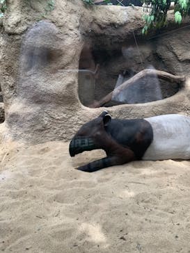 神戸どうぶつ王国に投稿された画像（2021/8/15）