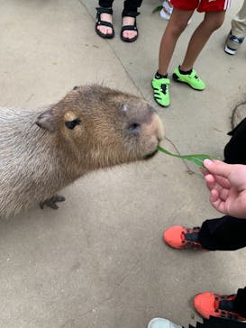 神戸どうぶつ王国に投稿された画像（2021/8/15）