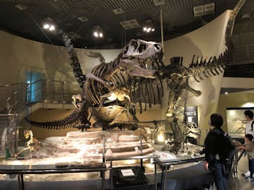 国立科学博物館に投稿された画像（2021/8/15）