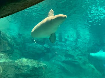 名古屋港水族館に投稿された画像（2021/8/15）