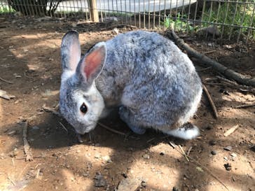 美らヤシパークオキナワ・東南植物楽園に投稿された画像（2021/8/15）