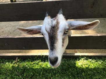 美らヤシパークオキナワ・東南植物楽園に投稿された画像（2021/8/15）