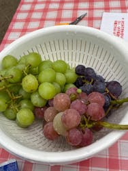 スカラベファームに投稿された画像（2021/8/15）