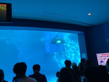 名古屋港水族館に投稿された画像（2021/8/15）