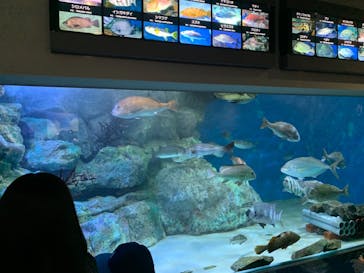 名古屋港水族館に投稿された画像（2021/8/15）