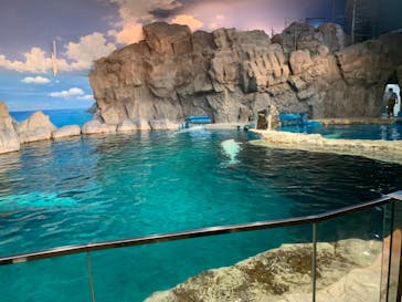 名古屋港水族館に投稿された画像（2021/8/15）