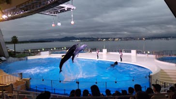 マリンワールド海の中道に投稿された画像（2021/8/15）