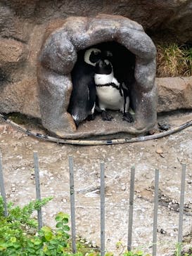 サンシャイン水族館に投稿された画像（2021/8/15）