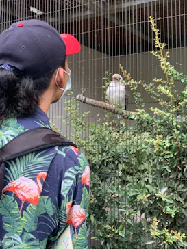 天王寺動物園に投稿された画像（2021/8/15）