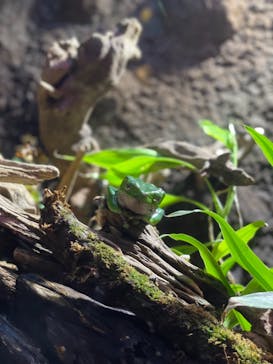 マクセル アクアパーク品川に投稿された画像（2021/8/15）