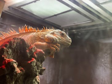 マクセル アクアパーク品川に投稿された画像（2021/8/15）