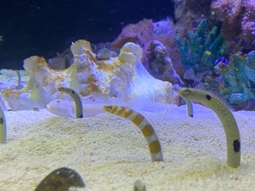 株式会社Gに投稿された画像（2021/8/15）