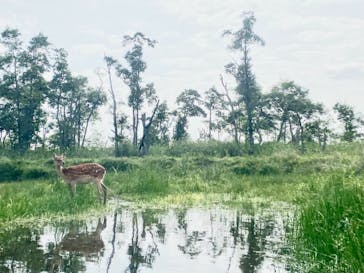 Old Place（オールドプレイス）に投稿された画像（2021/8/15）