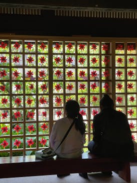 加賀 伝統工芸村　ゆのくにの森に投稿された画像（2021/8/15）