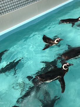 株式会社Gに投稿された画像（2021/8/15）