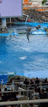 名古屋港水族館に投稿された画像（2021/8/15）