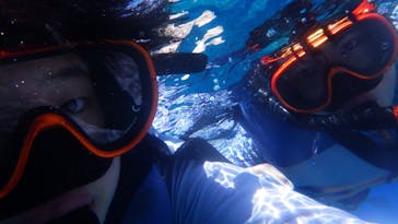 Sea World（シーワールド）に投稿された画像（2021/8/15）