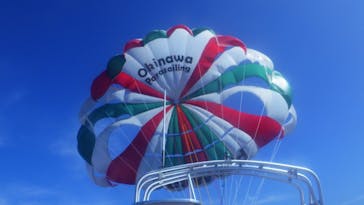 Sea World（シーワールド）に投稿された画像（2021/8/15）