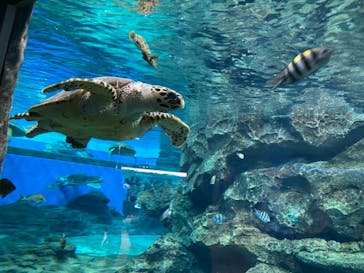 名古屋港水族館に投稿された画像（2021/8/15）