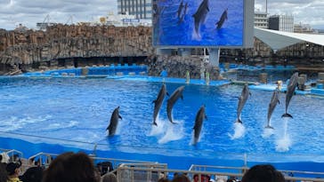 名古屋港水族館に投稿された画像（2021/8/15）