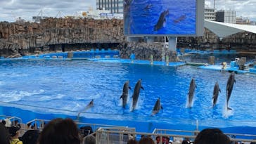 名古屋港水族館に投稿された画像（2021/8/15）