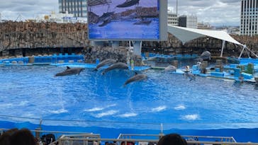 名古屋港水族館に投稿された画像（2021/8/15）