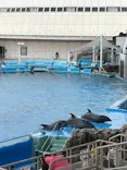 名古屋港水族館に投稿された画像（2021/8/15）