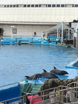 名古屋港水族館に投稿された画像（2021/8/15）