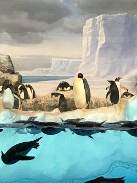 名古屋港水族館に投稿された画像（2021/8/15）