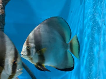 サンシャイン水族館に投稿された画像（2021/8/15）