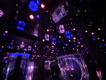 マクセル アクアパーク品川に投稿された画像（2021/8/15）