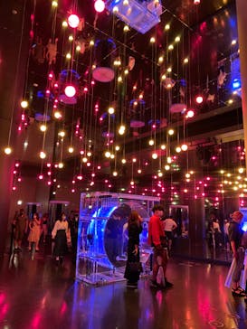 マクセル アクアパーク品川に投稿された画像（2021/8/15）