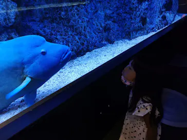 すみだ水族館に投稿された画像（2021/8/15）